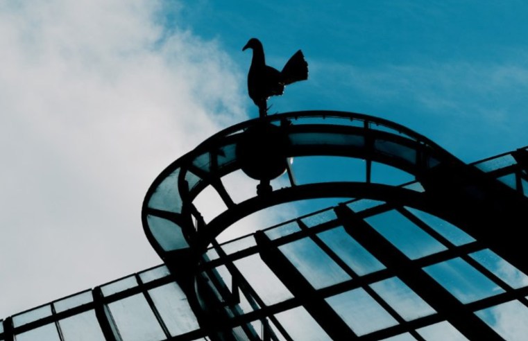 Novo iznenađenje – ON menja Tudora do kraja sezone?!